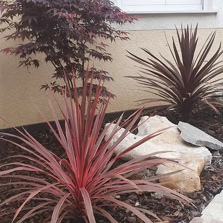 Villa Thalia Marinici (Primorsko-Goranska)